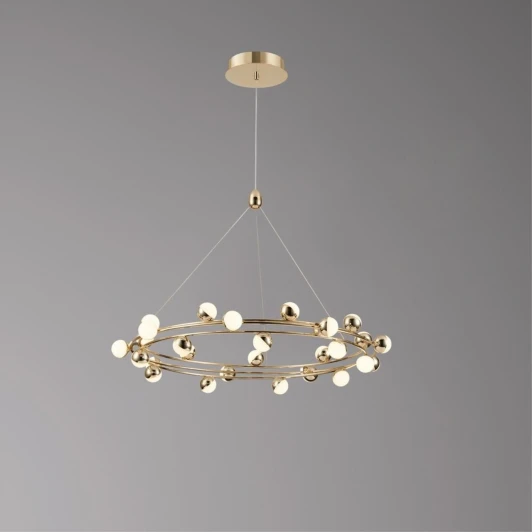 APL.774.03.81 Подвесная люстра светодиодная Aployt Delfin APL.774.03.81 (220V, на тросе, шарики)