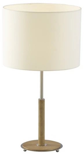 A1038LT-1BR Интерьерная настольная лампа Arte Lamp Woods A1038LT-1BR
