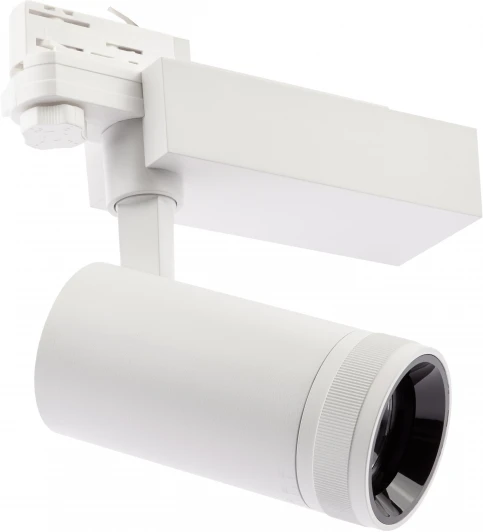 STR-30-99-40K-W20 Трековый светильник ЭРА STR-30-99-40K-W20 (LED, 220V, круглые, IP40)