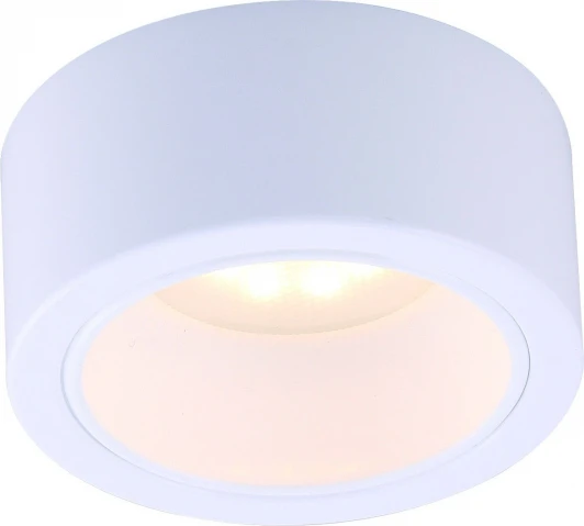 A5553PL-1WH Накладной точечный светильник Arte Lamp Effetto A5553PL-1WH