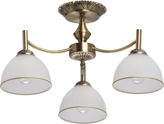 318015503 Потолочная люстра на штанге MW-Light Олимп 318015503