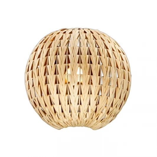 2492/1W Настенный светильник Odeon Light Keni 2492/1W