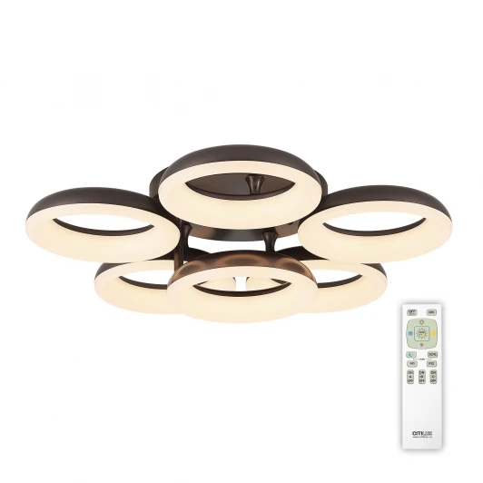 CL225165R Потолочная люстра Citilux Паркер CL225165R