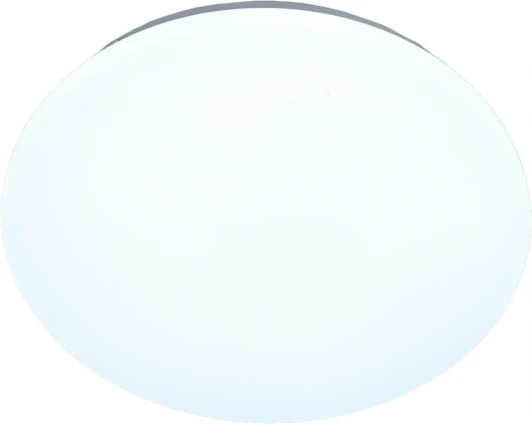 PLC.230/12W/007 Потолочный светильник LED 12W 220V 4200K 960Lm D230мм Imex PLC.230/12W/007