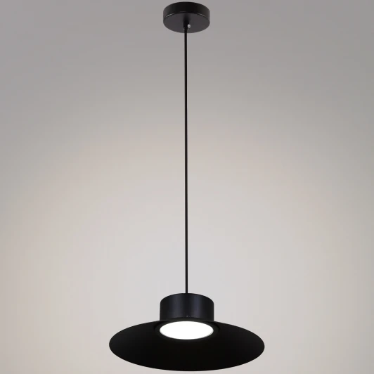 40110-0.9-01 BK Подвесной светильник Reluce 40110-0.9-01 BK