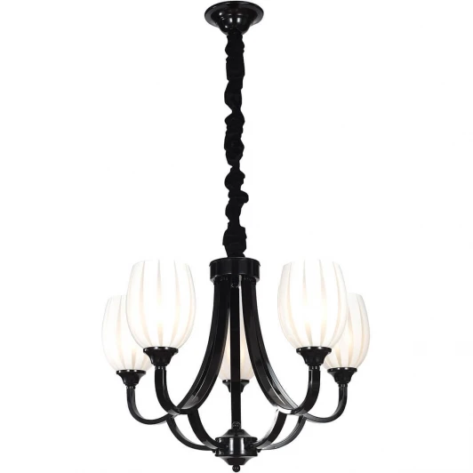 MADRID 116.5 Подвесная люстра Lucia Tucci Madrid 116.5