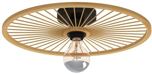 43883 Потолочный светильник круглый Eglo LEOMINSTER 43883 (220V, круглые)