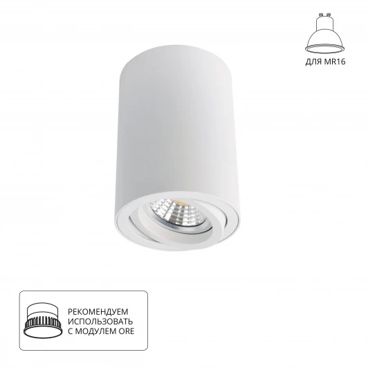 A1560PL-1WH Накладной точечный светильник Arte Lamp Sentry A1560PL-1WH (220V)