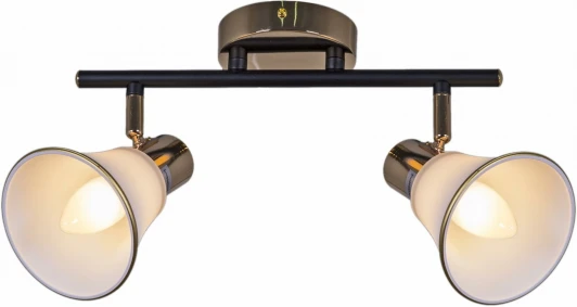 05901-0.8-02 BK+FGD Спот на штанге Reluce 05901-0.8-02 BK+FGD (220V)