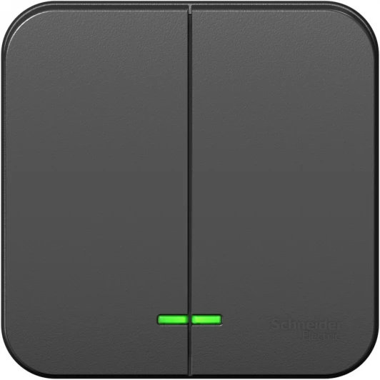 BLNVA105106 Выключатель накладной двухклавишный с подсветкой (антрацит) Systeme Electric Blanca BLNVA105106