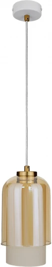 PND105.01.17ASB.001.WH-M16AW Подвесной светильник 33 Идеи PND105.01.17ASB.001.WH-M16AW (220V, на проводе)