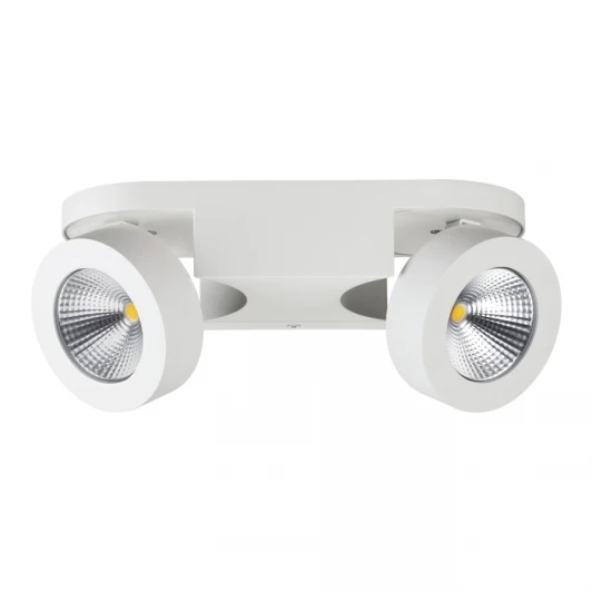 3538/2WL Спот Odeon Light Laconis 3538/2WL