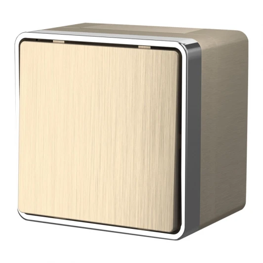 W5010210 Выключатель одноклавишный влагозащищенный Gallant (шампань рифленый) Werkel W5010210 (a051040)