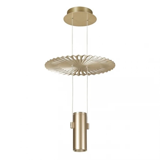3856/2L Подвесной светильник Odeon Light Astra 3856/2L