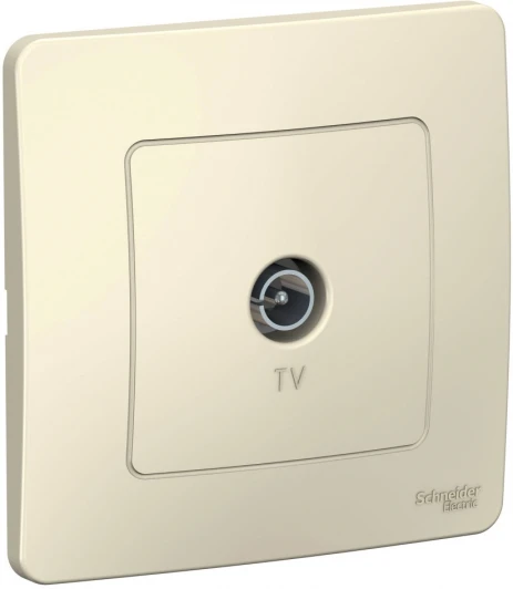 BLNTS000012 ТВ-розетка встраиваемая оконечная (молочный) Systeme Electric Blanca BLNTS000012