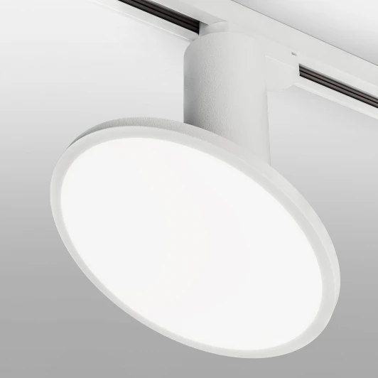 LTB50 Трековый светильник Elektrostandard Brain LTB50