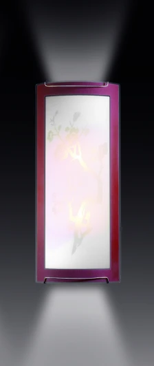 1646 Настенный светильник Sonex Sakura 1646
