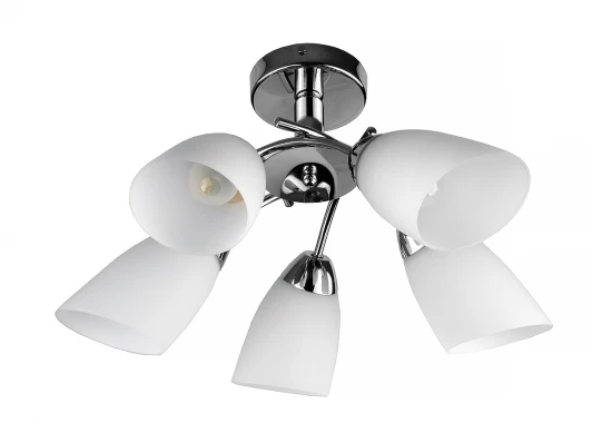 TL3600X-05CH Потолочная люстра Toplight Carmel TL3600X-05CH