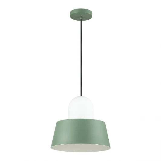 4142/1 Подвесной светильник Odeon Light Alur 4142/1
