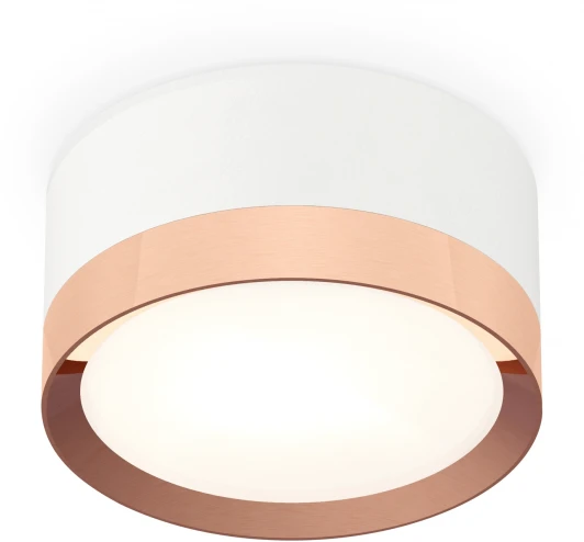 XS8101006 Накладной точечный светильник Ambrella Techno Spot XS8101006 (220V, круглые)