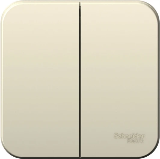 BLNVA105012 Выключатель накладной двухклавишный (молочный) Systeme Electric Blanca BLNVA105012