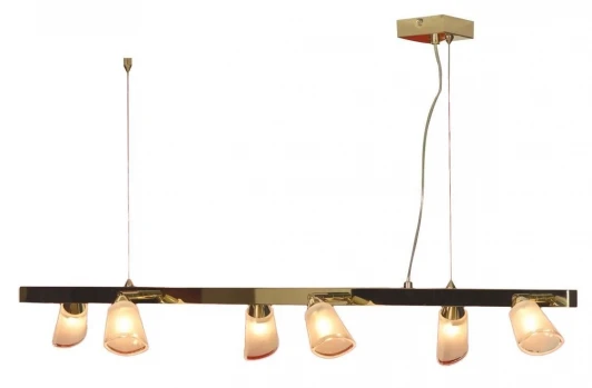 LSL-5003-06 Подвесной светильник Lussole Rasen LSL-5003-06