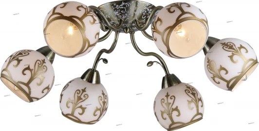 1410123/6C Snowlight 1410123 1410123/6C