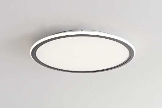 ZRS.10112.05 Потолочный светильник круглый с пультом Zortes Galo ZRS.10112.05 (LED, 220V, круглые)