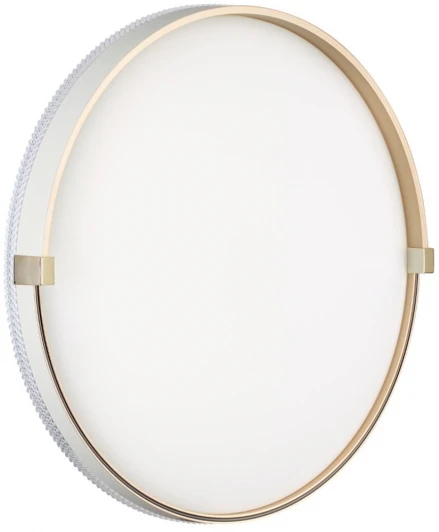 7646/DL Настенно-потолочный светильник Sonex Olidi White 7646/DL PALE SN пластик/белый/золотой LED 48Вт 4000К D390 IP43