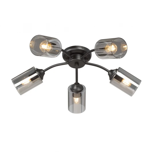 V2558-1/5PL Потолочная люстра Vitaluce V2558-1/5PL