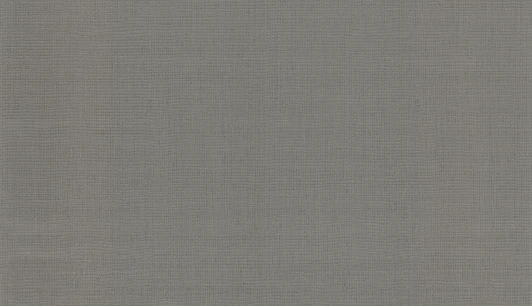 30549 Рулонные обои Casual 30549