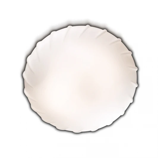 2247/1C Настенно-потолочный светильник Odeon Light Opal 2247/1C