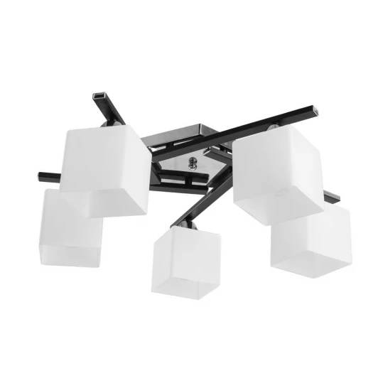 A8165PL-5BK Потолочная люстра Arte Lamp Visuale A8165PL-5BK