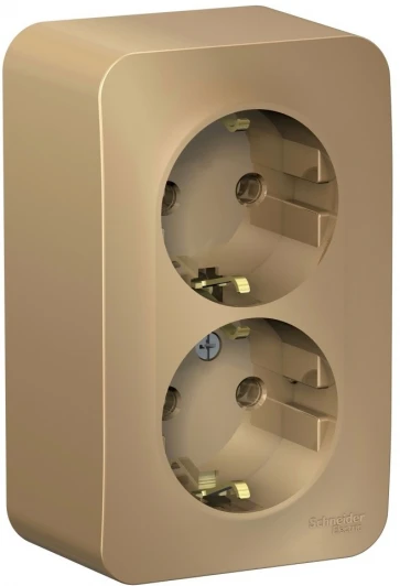 BLNRA010204 Розетка накладная двойная с заземлением (титан) Systeme Electric Blanca BLNRA010204