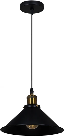 02189-0.9-01 BK Подвесной светильник Reluce 02189-0.9-01 BK (220V, на проводе)