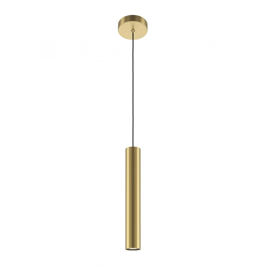 MOD161PL-01G1 Подвесной светильник Maytoni Pro Focus MOD161PL-01G1 (220V, на проводе, круглые)