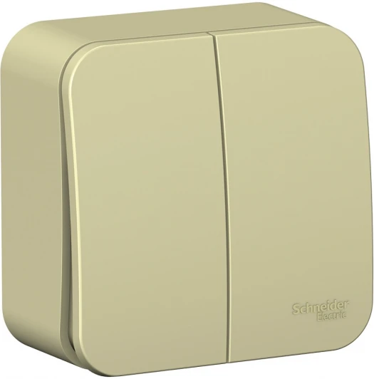 BLNVA105017 Выключатель накладной двухклавишный (бежевый) Systeme Electric Blanca BLNVA105017