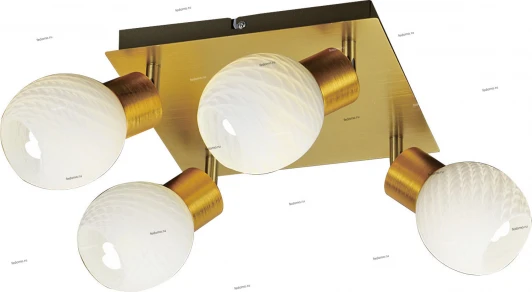 13005-34 Blitz 13005 13005-34