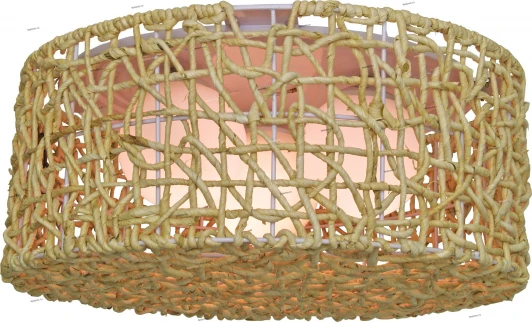 2507431/3C Snowlight 2507431/3C