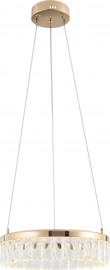 6131-101 Подвесной светильник светодиодный Rivoli Erika 6131-101 (220V, на тросе, круглые)