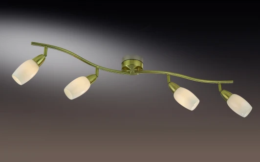 2067/4W Спот Odeon Light Otta 2067/4W