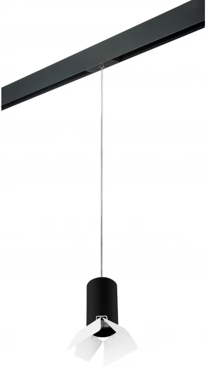 PRORP437436 Трековый светильник однофазный 220V Lightstar Rullo PRORP437436