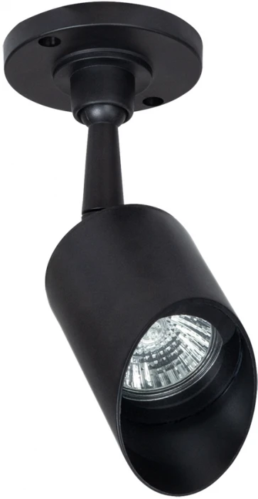 Прожектор уличный Arte Lamp Elsie A1022AL-1BK