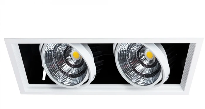 Встраиваемый точечный светильник Arte Lamp Merga A8450PL-2WH