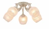 A7060PL-5WG Потолочная люстра Arte Lamp Sofia A7060PL-5WG