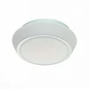 SL496.502.01 Настенно-потолочный светильник ST Luce Bagno SL496.502.01
