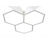 OML-45307-60 Потолочный светильник Omnilux Evesham OML-45307-60