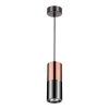 3583/1 Подвесной светильник Odeon Light Duetta 3583/1