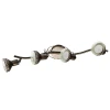 A5219PL-4BR Спот Arte Lamp Focus A5219PL-4BR