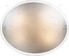 4272 Настенно-потолочный светильник Sonex Opal 4272